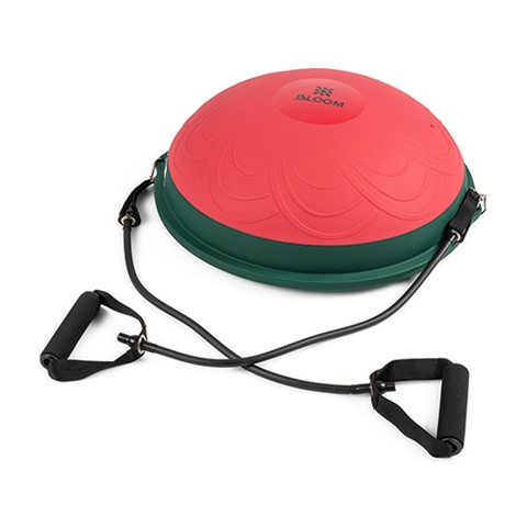 Mini Bosu Topu Pembe LB7052